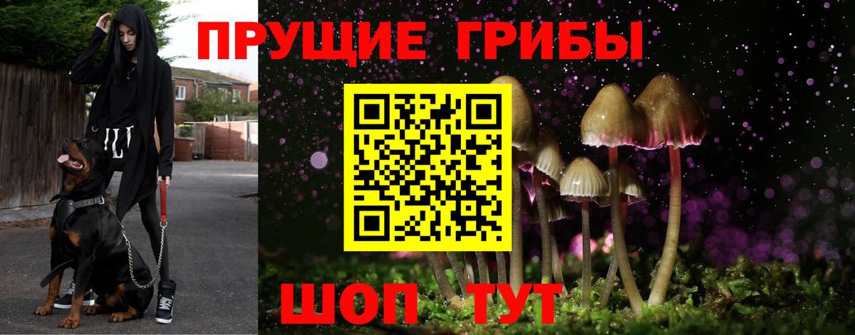 Галлюциногенные грибы GOLDEN TEACHER Великий Устюг