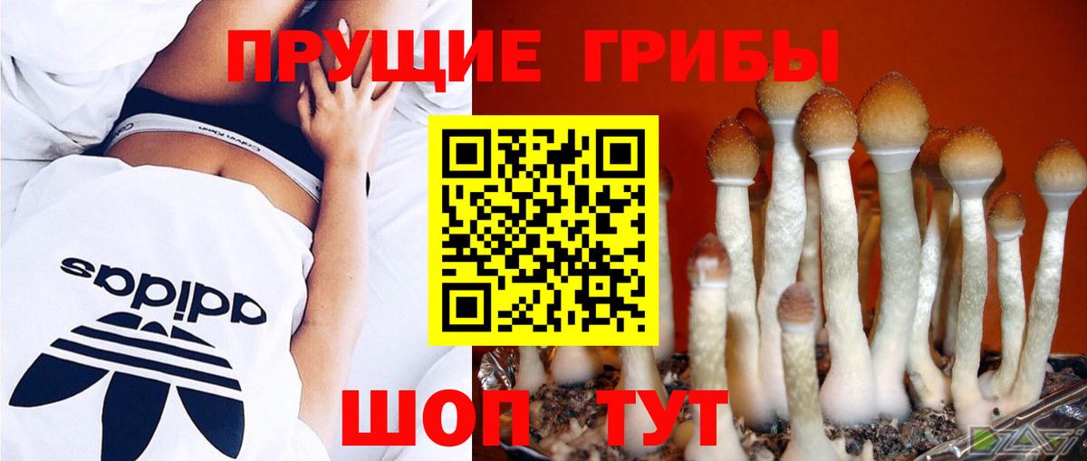 Великий Устюг  Галлюциногенные грибы Magic Shrooms  Галлюциногенные грибы MAGIC MUSHROOMS  Вход с VPN 